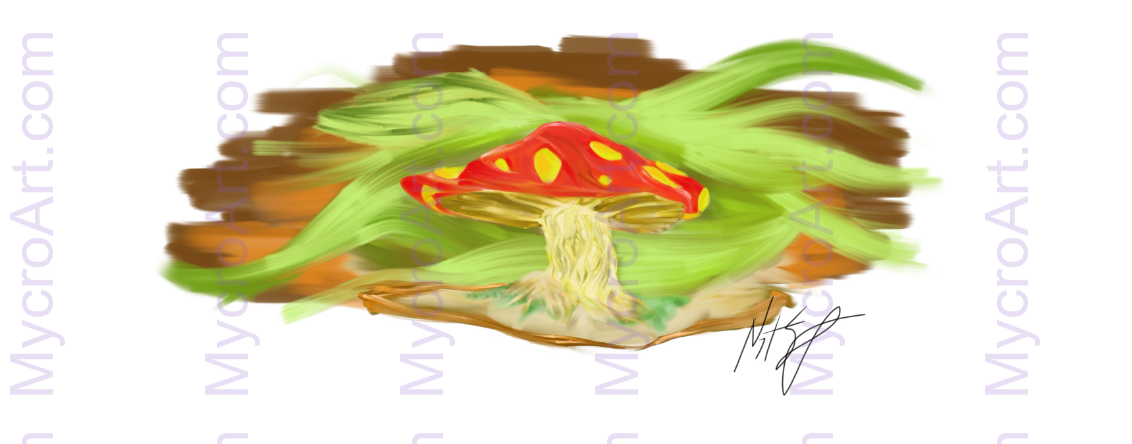 Mushroom Wild