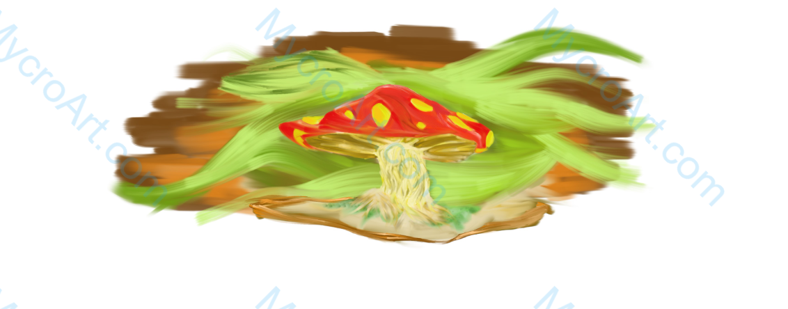 Mushroom Wild